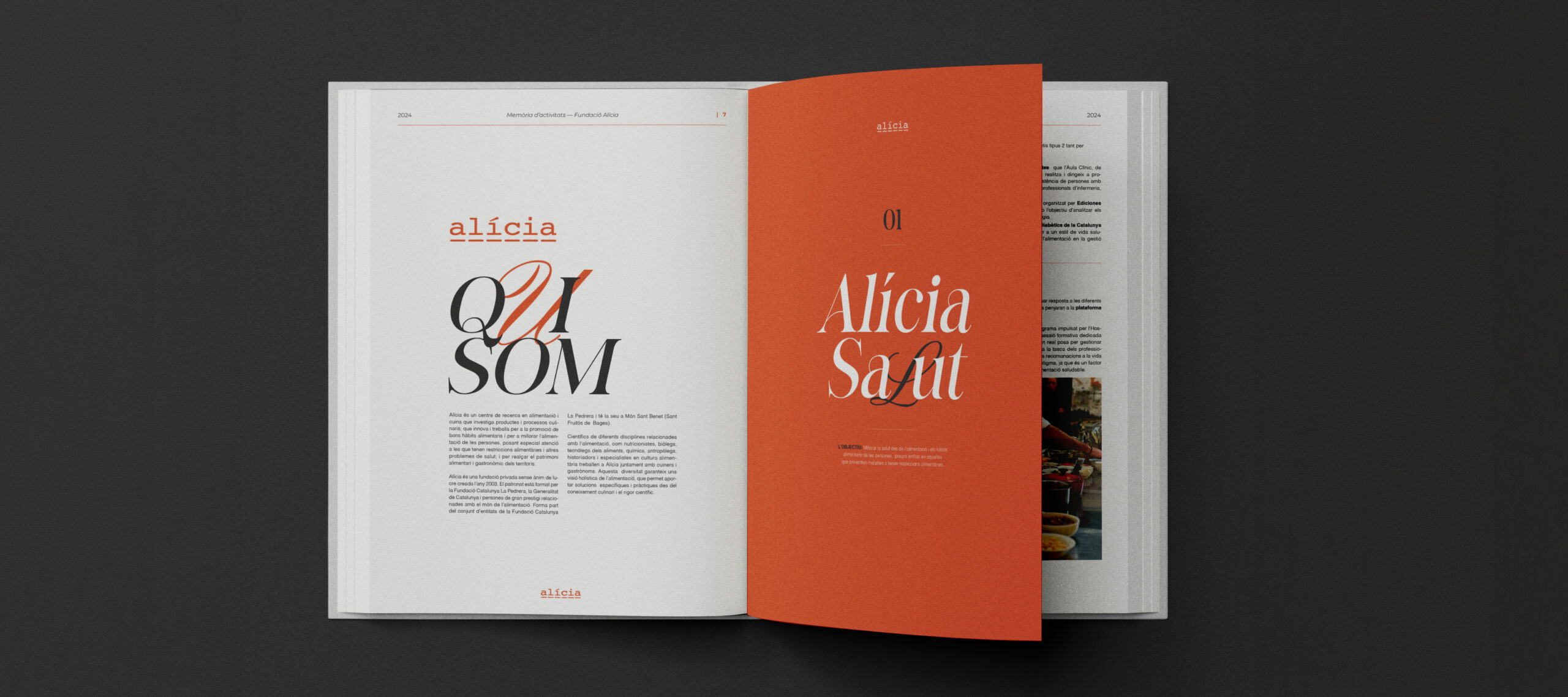 Disseny editorial