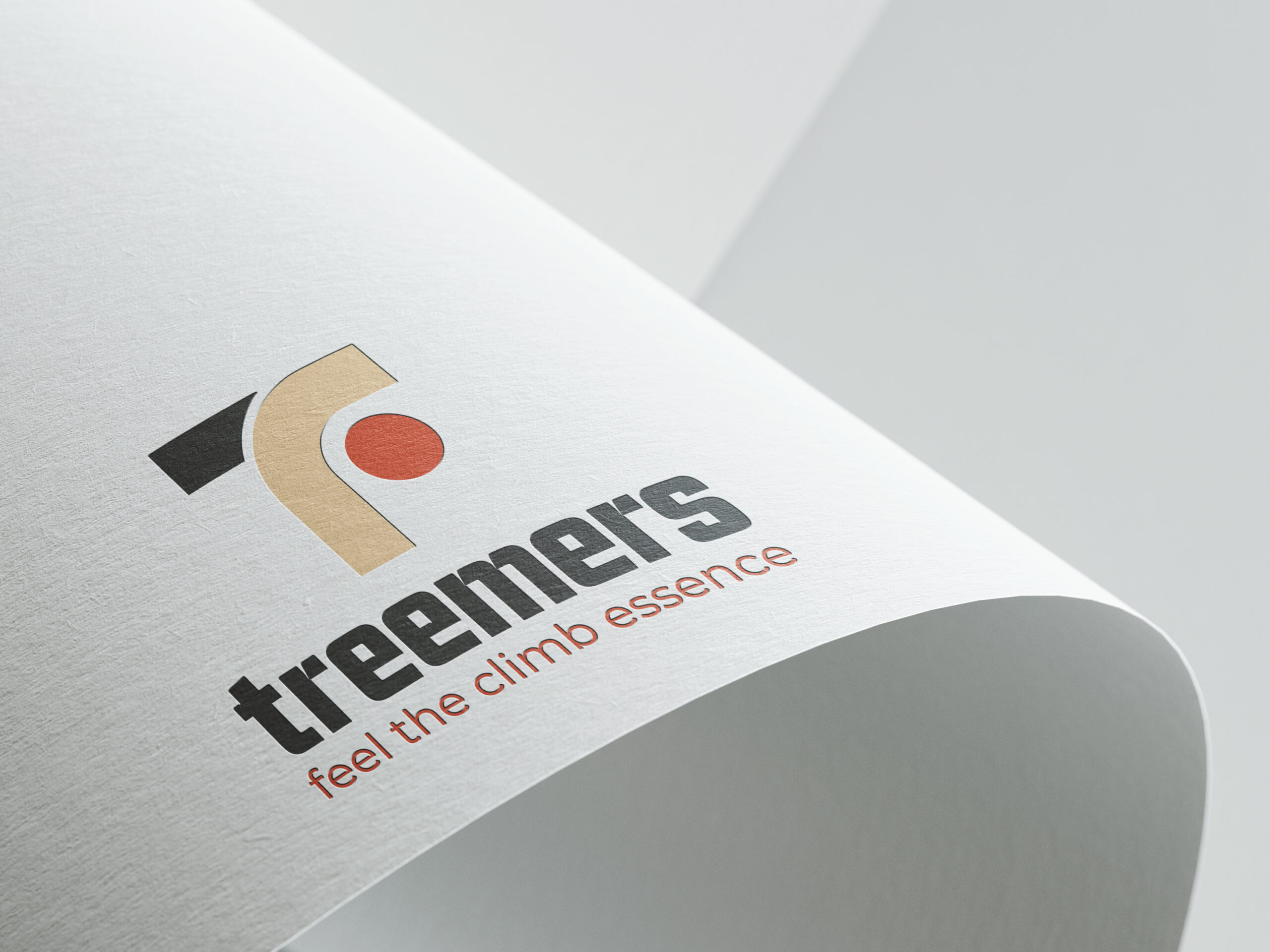 Identitat i marca